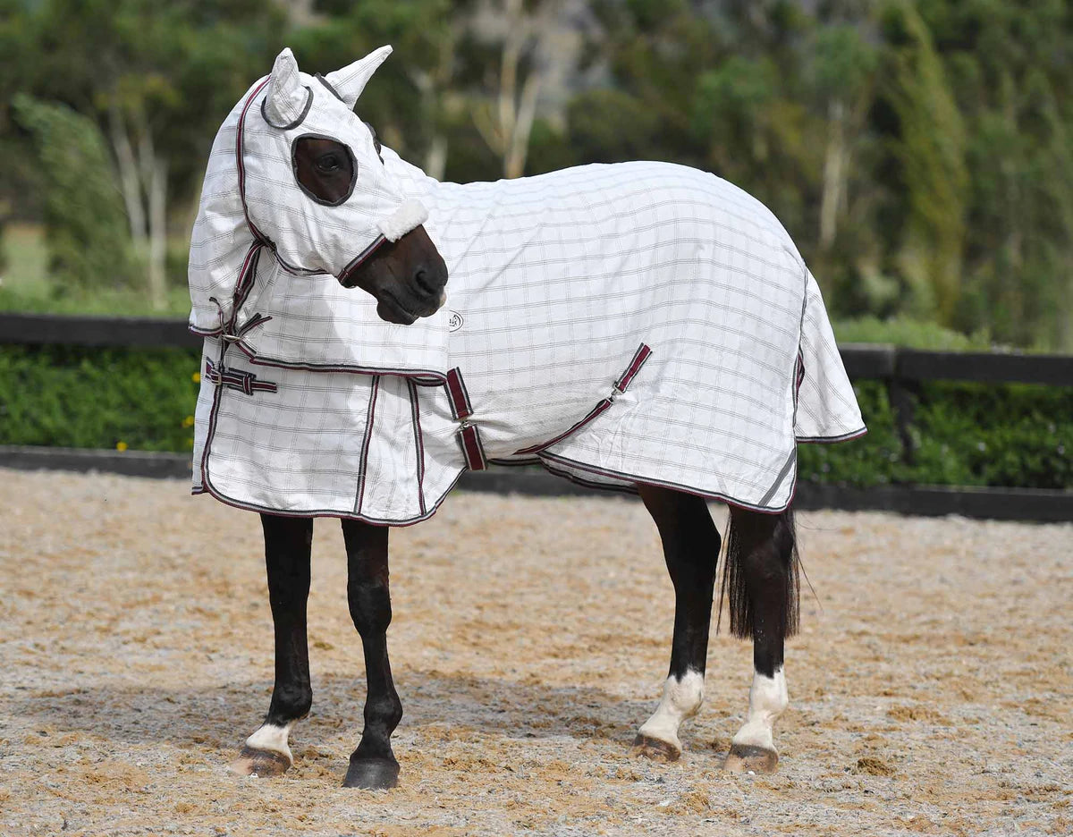 Caribu horse rugs deals