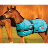Thermo Master - 600D Growing Foal Horse Rug