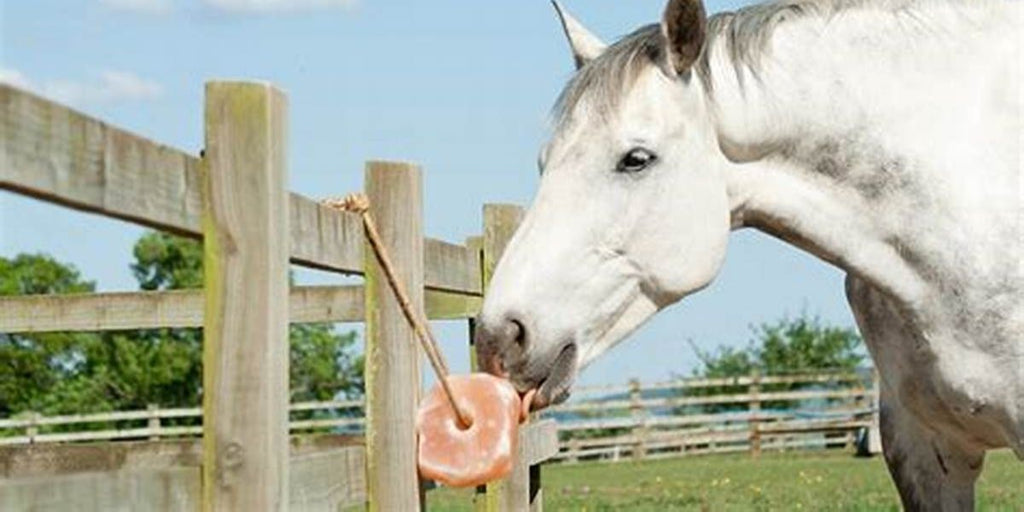 Is Your Horse Getting Enough Salt?