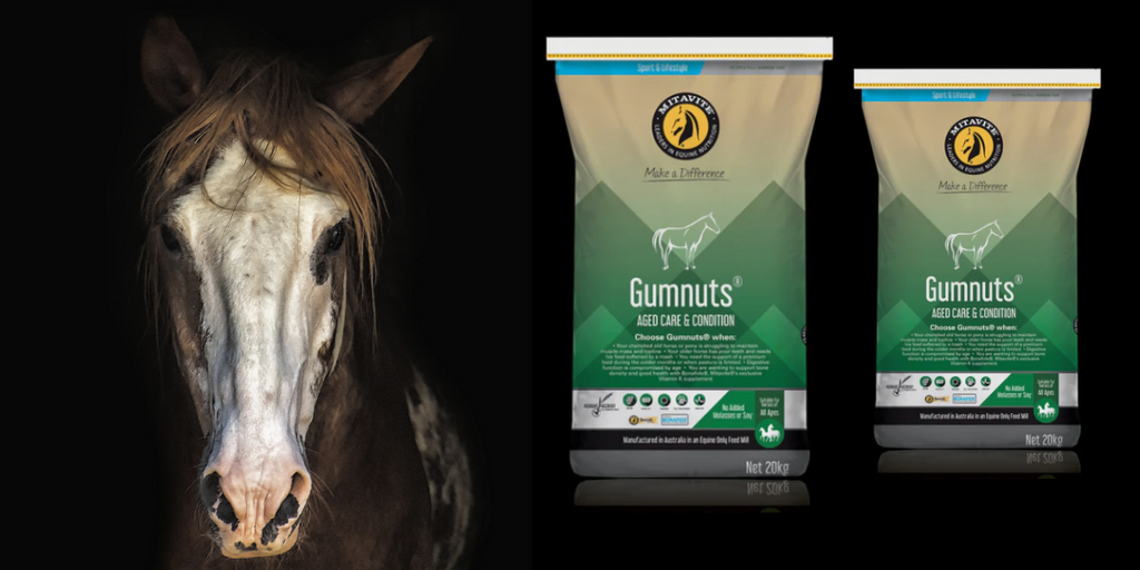 Feeding For Weight Gain Spotlight: Mitavite Gumnuts for Seniors and Poor Doers
