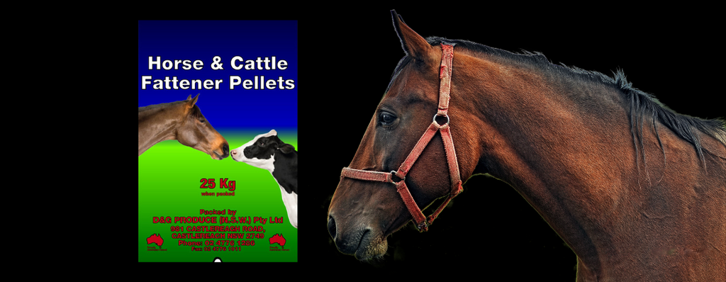 Feeding For Weight Gain Spotlight: D & G Horse & Cattle Fattener Pellets