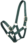 Zilco - Webbed  Halter - Foal