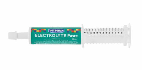 Vetsense - Electrolyte Paste - 60ml