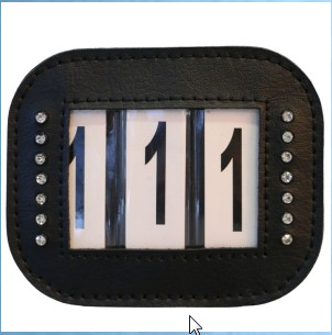 Number Holder with Velcro and Pin Fastening