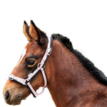Eureka - Foal Tri-Coloured Headstall