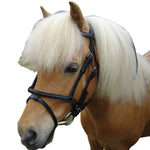 Eureka - Minature Bridle