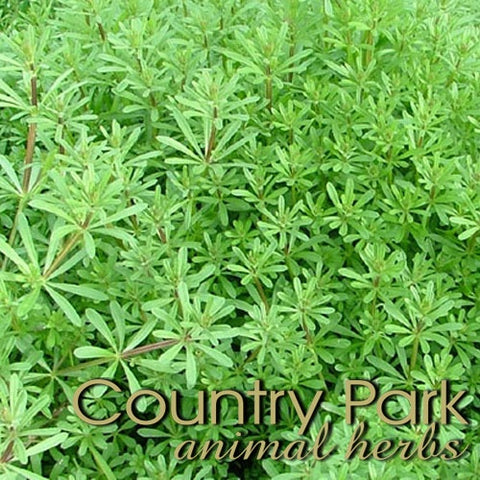 Country Park - Clivers Herb Cut 1kg
