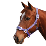 Deluxe Padded Headstall