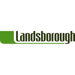 Landsborough Coloured Training Reins