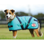 Thermo Master - Supreme Dog Coat - Teal