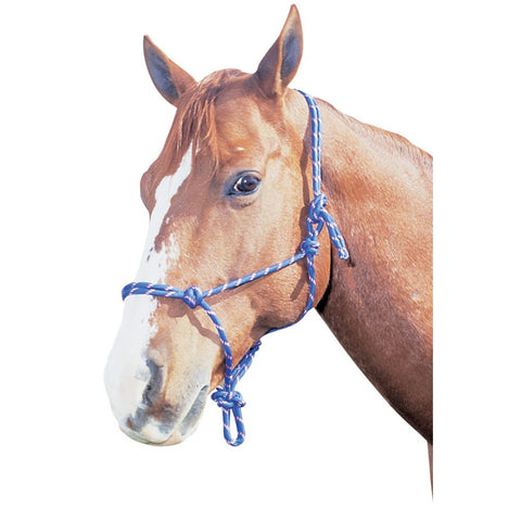 Horsemanship Halter