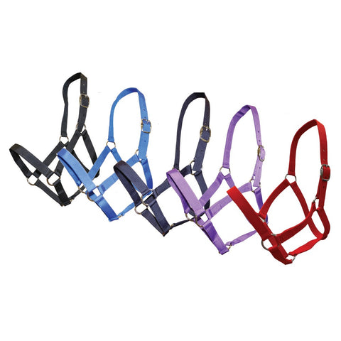 Rancher - Stable Halter