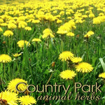 Country Park - Dandelion Leaf Root Cut 1kg