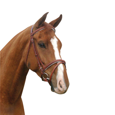 Mcalister - Padded Hanoverian bridle