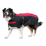 Showcraft - Two Tone Dog Coat