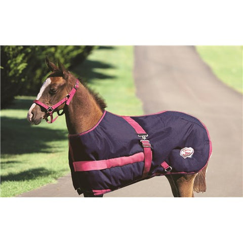 Thermo Master - 600D Growing Foal Horse Rug